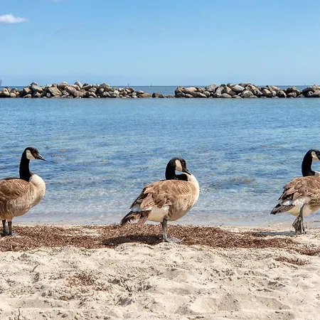 Pier 1167 * Schilksee