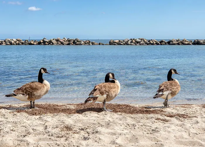 Pier 1167 * Schilksee